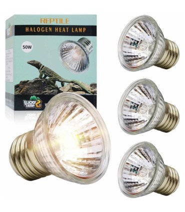 خرید لامپ UV خزندگان لاکی هرپ ۵۰ وات با اشعه UVA+UVB | بهترین لامپ حرارتی خزنده