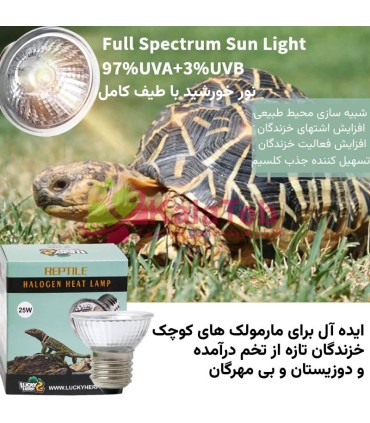 خرید لامپ UV خزندگان لاکی هرپ ۵۰ وات با اشعه UVA+UVB | بهترین لامپ حرارتی خزنده