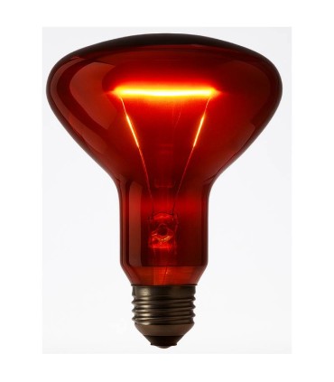 لامپ مادون قرمز 100 وات جنرال - در حال روشنایی